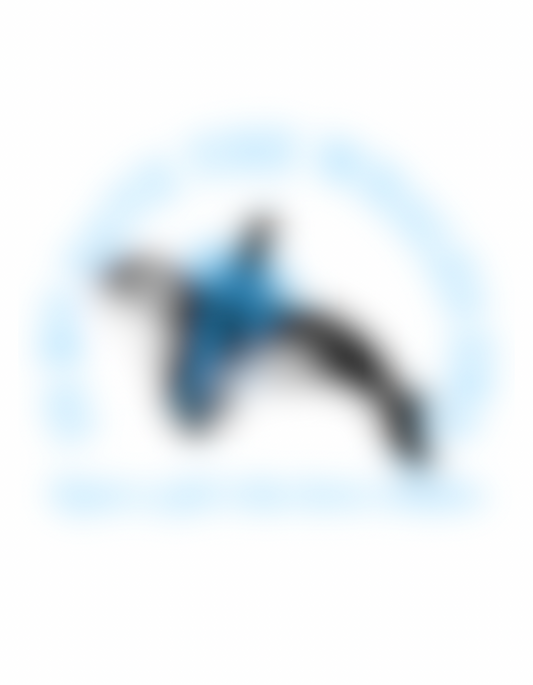 FREEBIE PNG